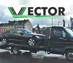 Vector Automotive, Bacău