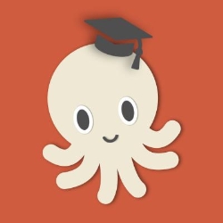 Octofun Academy, Cluj-Napoca