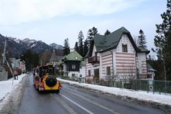 Mountain View Villa, Sinaia