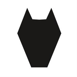 The Wolf, Sibiu