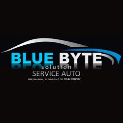 Blue Byte Solution, Baia Mare