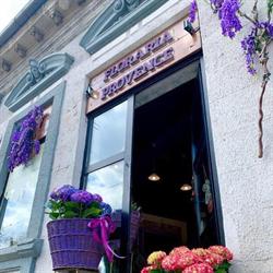 Floraria Provence, Bucureşti