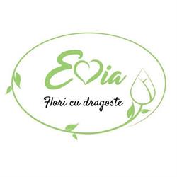 Floraria Evia, Bucureşti