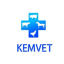 Kemvet, Timişoara