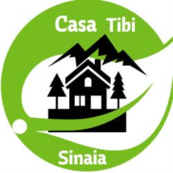 Casa Tibi, Sinaia