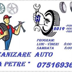 La Petre la Vulcanizare, Sântana