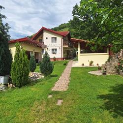 Casa Daniel, Orşova