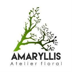 Atelier Amaryllis, Iaşi