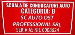 OST Auto Profesional, Urziceni