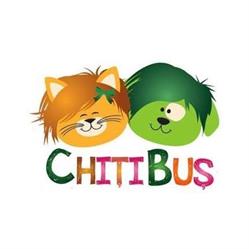 Chitibus, Braşov