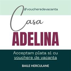 Casa Adelina Băile Herculane