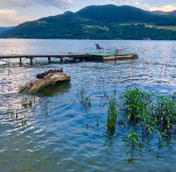 Casa Floarea Soarelui Orsova