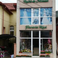 Florăria Rica, Dej
