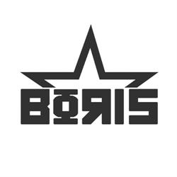 Boris Pub, Bacău