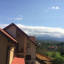 Casa Florea, Avrig