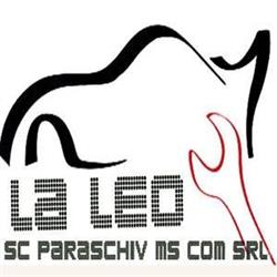 CarWashLeo, Videle