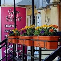 Salon Elixir, Urziceni