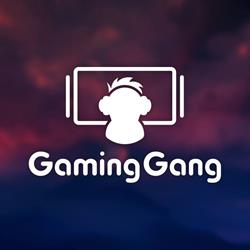Gaming Gang, Timişoara