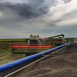 ECOAGRO S.R.L., Islaz