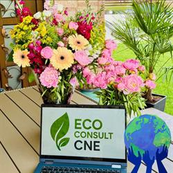 ECO RECYCLING C.N.E. SRL, Timişoara