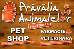Pravalia Animalelor, Bucureşti
