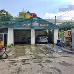 Elephant Clean, Craiova