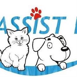 Vetassistlife, Timişoara