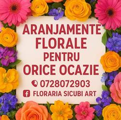 Floraria Sicubi art, Brăila