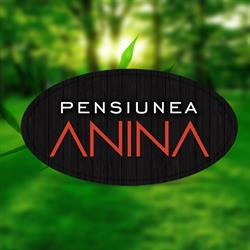 Pensiunea Anina