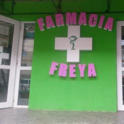 Farmacia Freya, Dorohoi