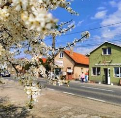 Bethlendi SRL, Biharia