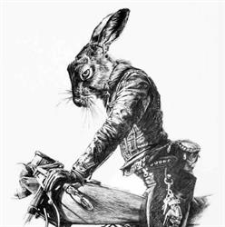 Rabbit Club, Timişoara