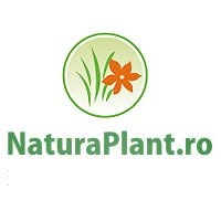 NaturaPlant, Bucureşti