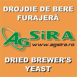 Agsira, Işalniţa