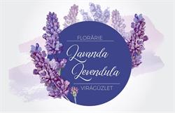 Floraria Lavanda Baciu - Levendula Virágbolt Kisbács