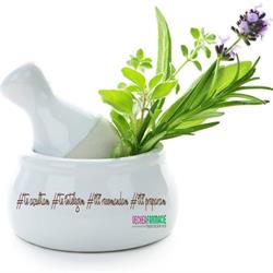Vechea Farmacie, Craiova
