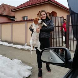 Pensiunea Casa Bianca-Târgu Jiu