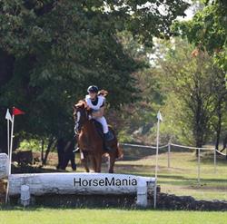 HorseMania, Pietrari