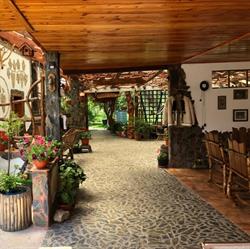 Casa Vlad, Orlea