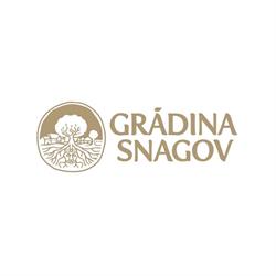 Gradina Vlahiia, Snagov