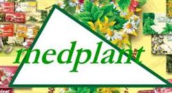 Medplant S.r.l., Oradea