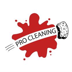 Pro Cleaning Cluj, Sânnicoară