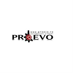 ProEvo - service, magazin online de piese, accesorii si cosmetice auto, Olteni