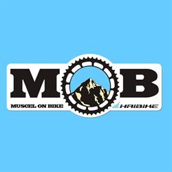 Inchirieri Biciclete, Voineşti
