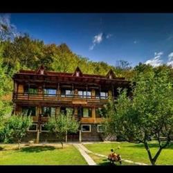 Paradisul Verde, Vulcan
