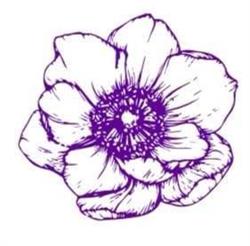 Floraria Anemone, Bucureşti