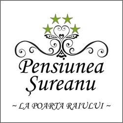 Pensiunea Şureanu, Şugag