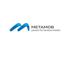 Metamob S.r.l, Satu Mare