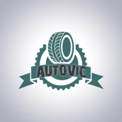 AUTOVIC SRL, Brăila