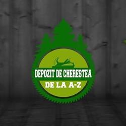 Depozit Cherestea, Arad